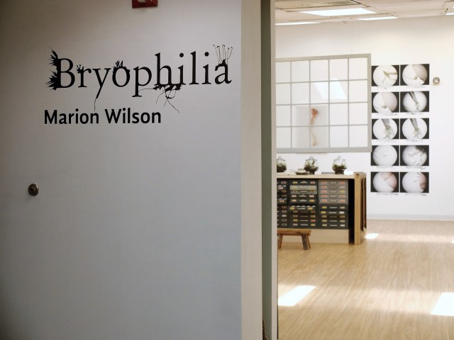 Bryophilia, Marion Wilson