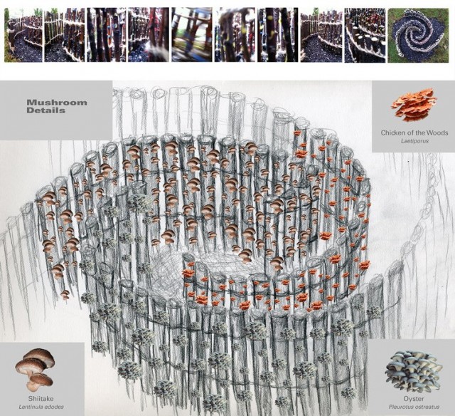 Artist’s rendering of “The Mushroom Vortex Maze,” a LandLab project to be led by Jan Mun