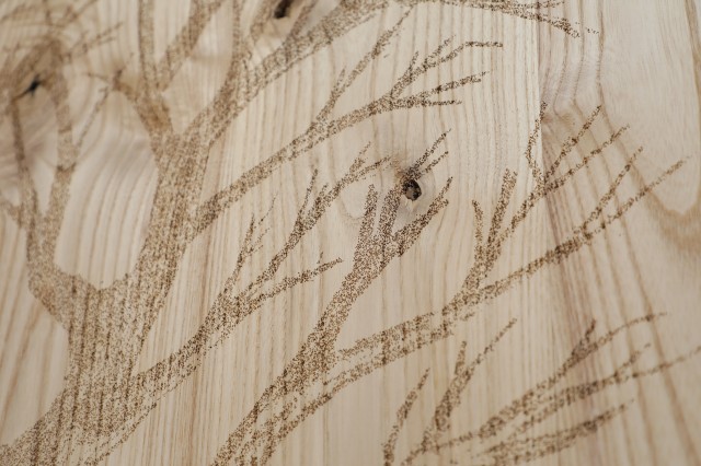 Detail of John Kuiphoff's "200,000 Ash Trees"