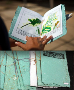 WE THE WEEDS led students to create a field guide to local plants.  Students made paper using weeds and seeds, and created a seed-dispersing mural.