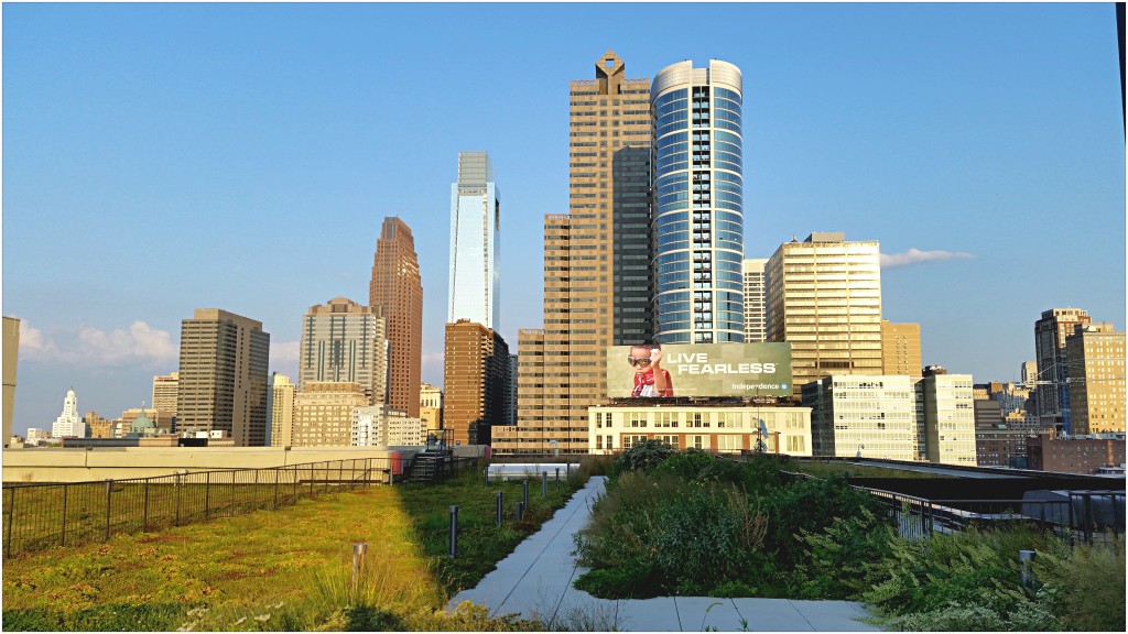 View looking east from the PECO green roof.