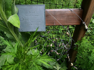 Native Pollinator Garden: blue mistflower zinc etched plate by Maggie Mills, handcrafted chemical-free Douglas fir post by Ben Mills & pit fired ceramic bees by Marguerita Hagan & the community