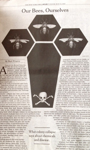One of the first articles addressing the concern for our own health in regards to CCD: Our Bees, Ourselves- What Colony collapse says about chemicals and disease, New York Times, Tues, July 15, 2014, by Mark Winston.