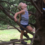 Child climbing a tree