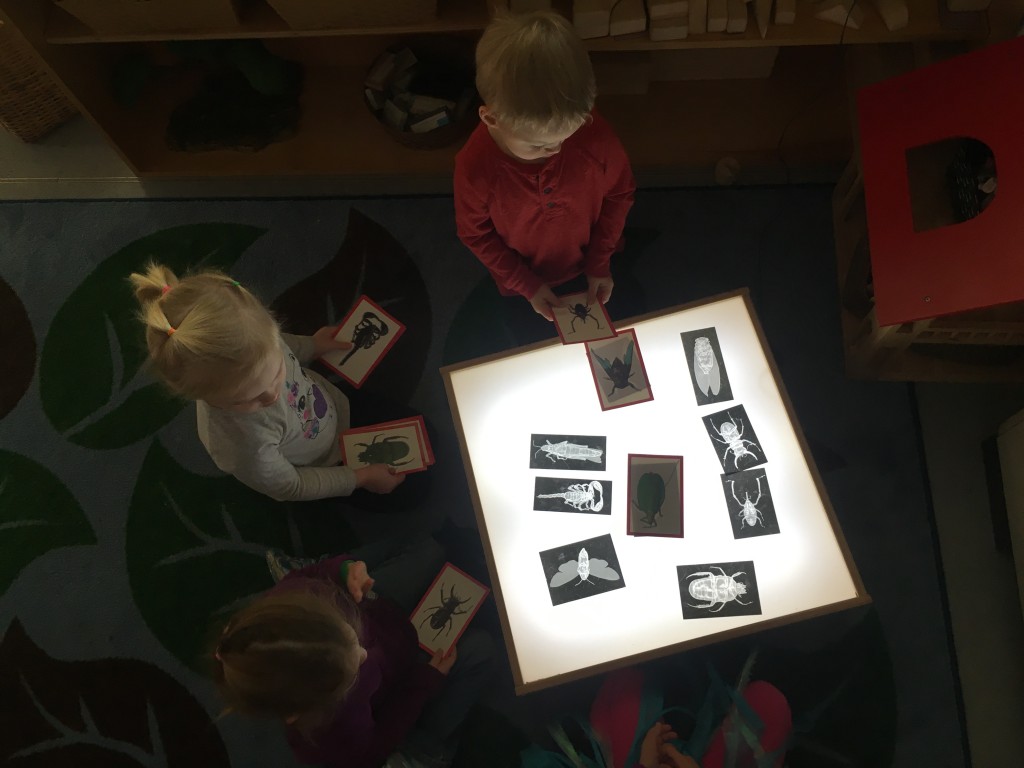 Nature Preschoolers use play x-ray table