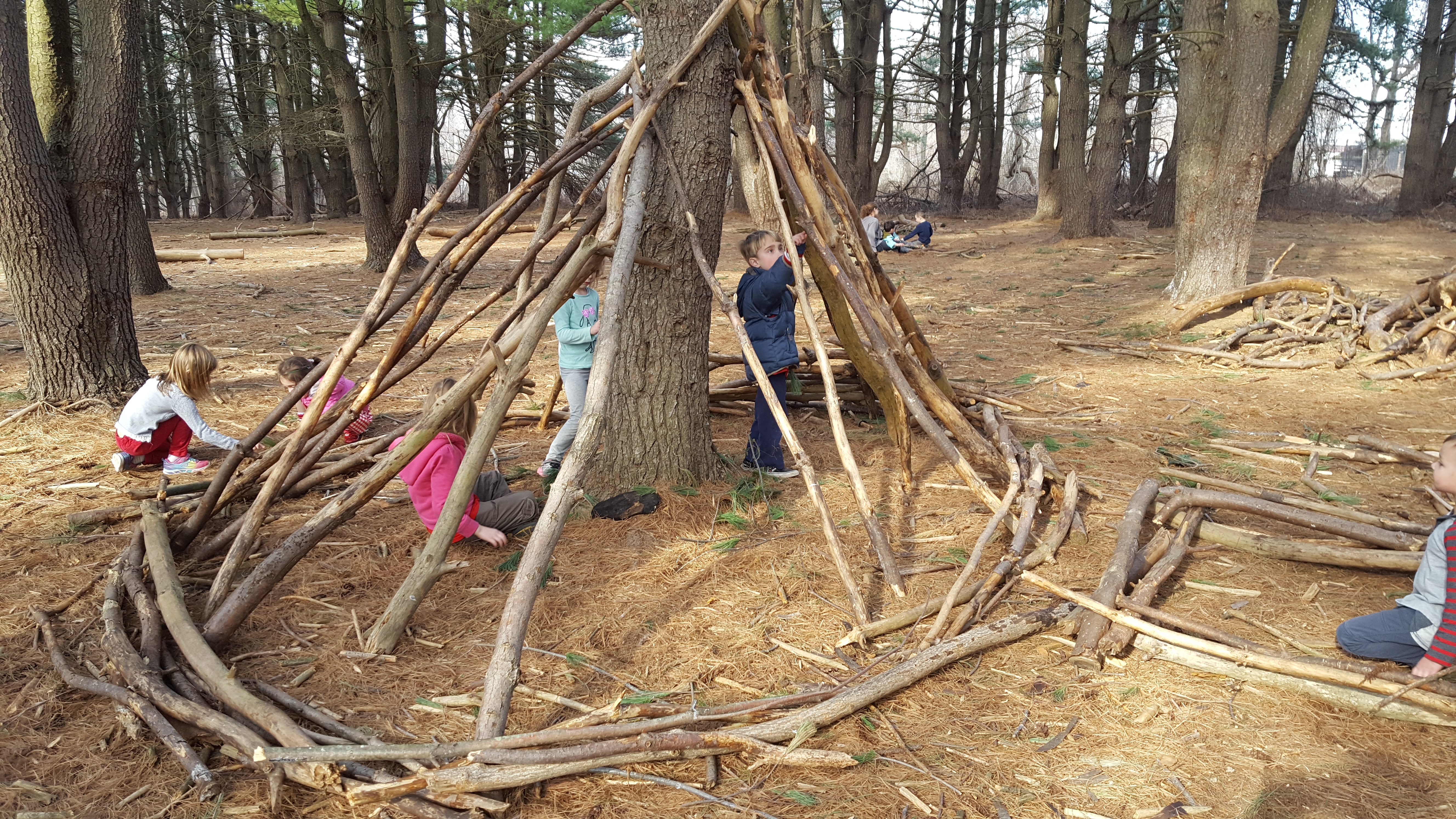 Children Need Nature: Fort building as a way to connect - Schuylkill Center  for Environmental Education