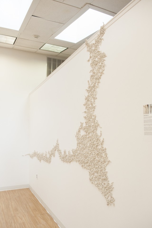 Installation of Proper Limits at the Schuylkill Center