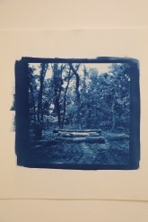 Laurie Beck Peterson cyanotype photography