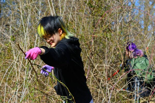 Two of our volunteers cutting back invasive plants in our forest