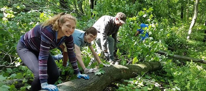 Three volunteers smiling at the camera while moving a tree trunk with vibrant summer foliage