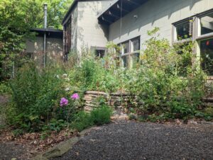 View of the sensory garden at the entrance of the Schuylkill Center blooming in summertime