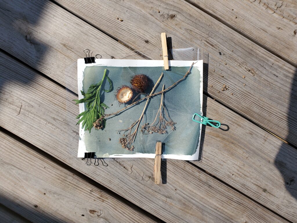 An aerial view of a piece of paper painted gray, with three clothespins attached to the edges, and a variety of natural materials collaged onto it