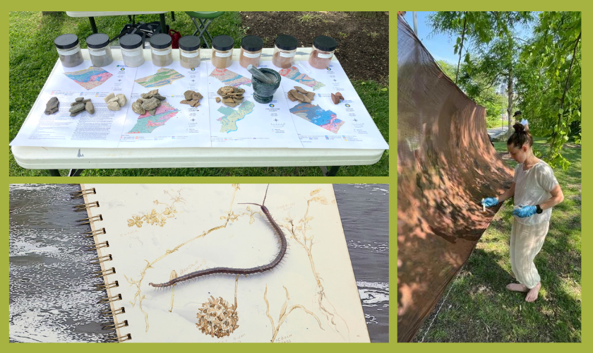 Three images collaged together: top left, a white folding table with various artistic materials displayed on it, on the bottom left, an open notebook page with drawings in brown ink and a live centipede crawling across it, portrait image on the right: an artist standing in a summer forest, image taken from the side, in the middle of an artistic process using a billowing brown sheet that's hung up in front of her.