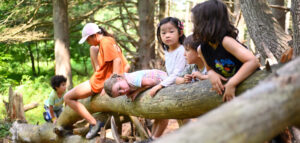 A group of children lean over a log in a forest.