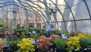 A large green house filled with native plants.
