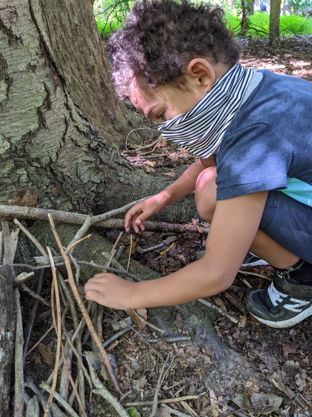 A child laying sticks at the base of a tree