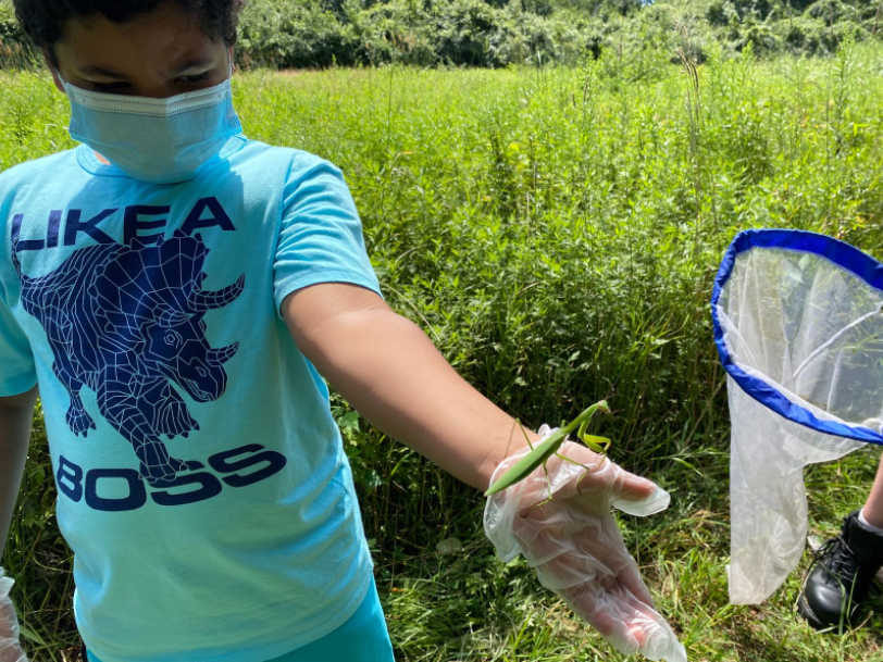 A child holding a preying mantis on their surgical gloved hand
