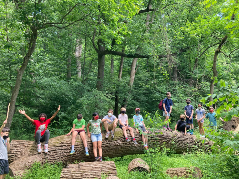 A group of students sitting on a large log downed in a forest