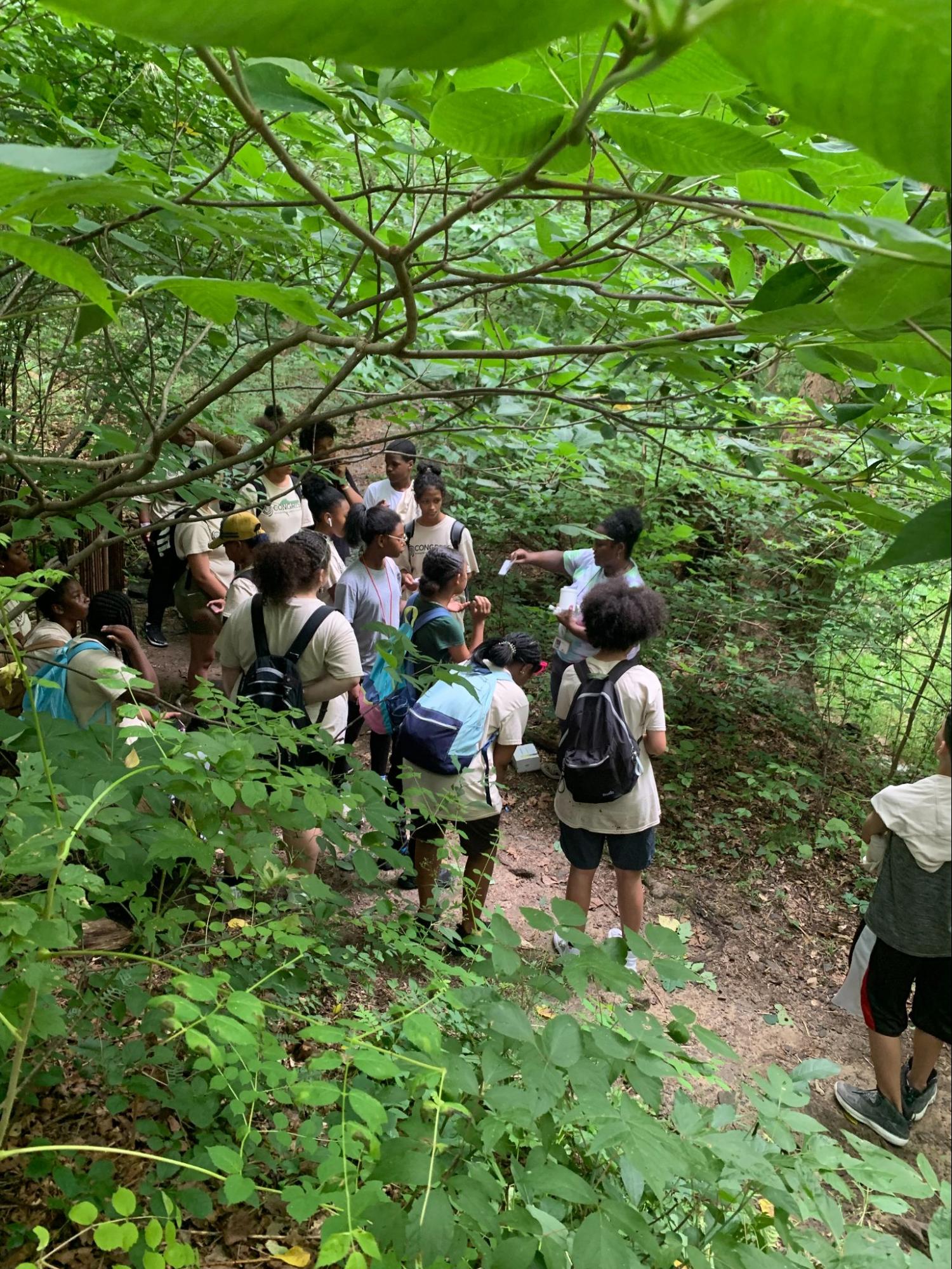 A group of students standing in a forest and listening as an instructor demonstrates